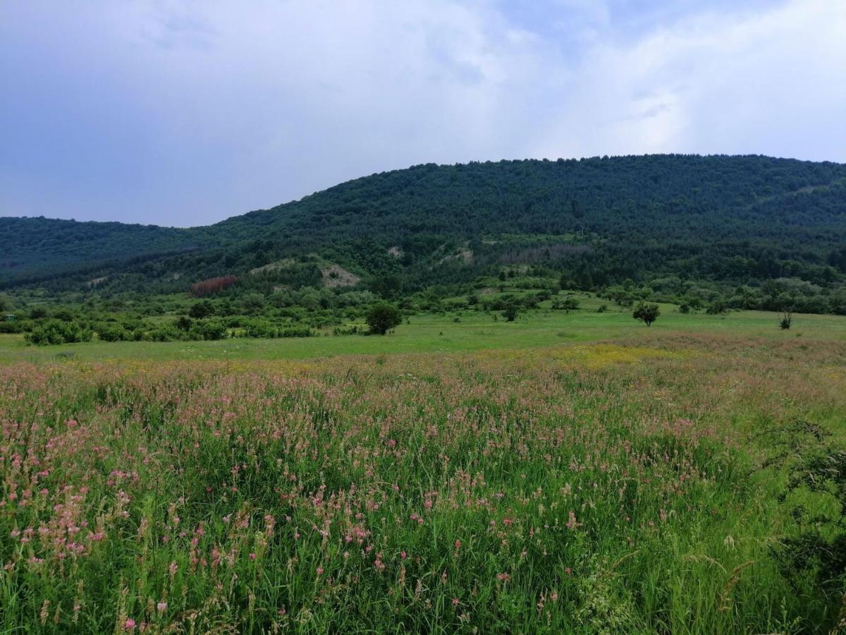 Etno Kuca Nikolov Villa Dimitrovgrad Kültér fotó