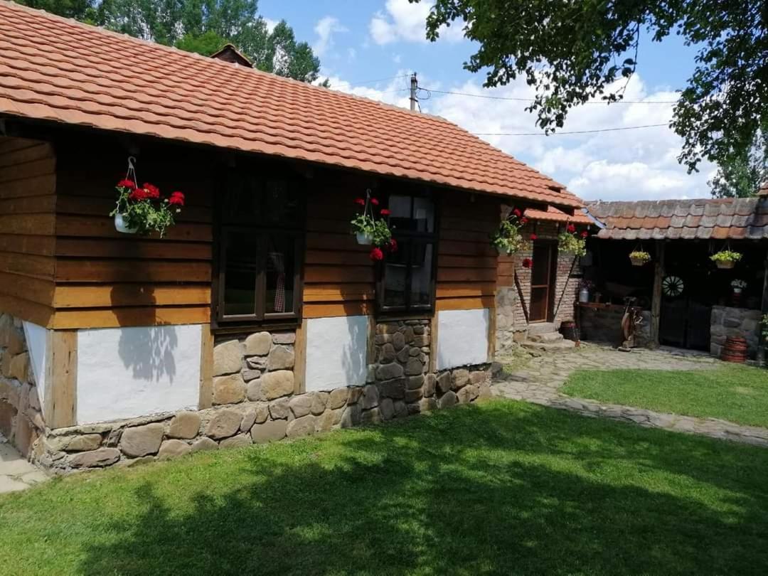 Etno Kuca Nikolov Villa Dimitrovgrad Kültér fotó